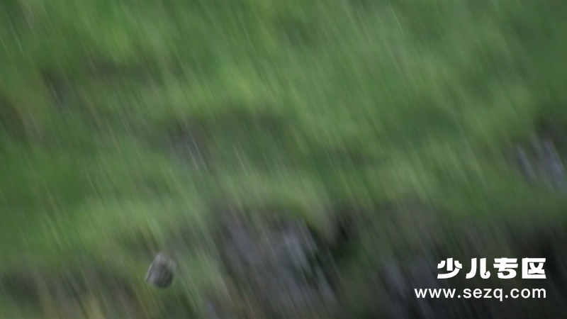 冰河巨兽 - 动画资源画廊第4张