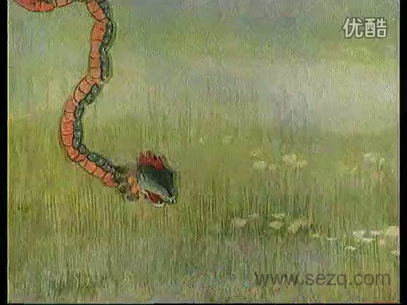 人参王国 - 动画资源画廊第5张