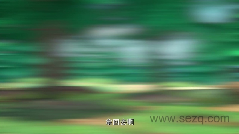 熊出没之丛林总动员 - 动画资源画廊第4张