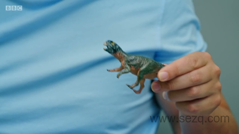 安迪的玩具箱 - 动画资源画廊第3张