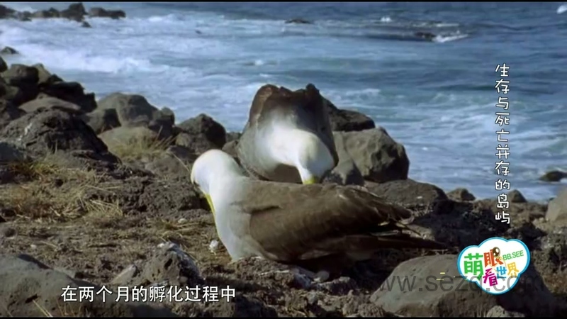 萌眼看世界 - 动画资源画廊第7张