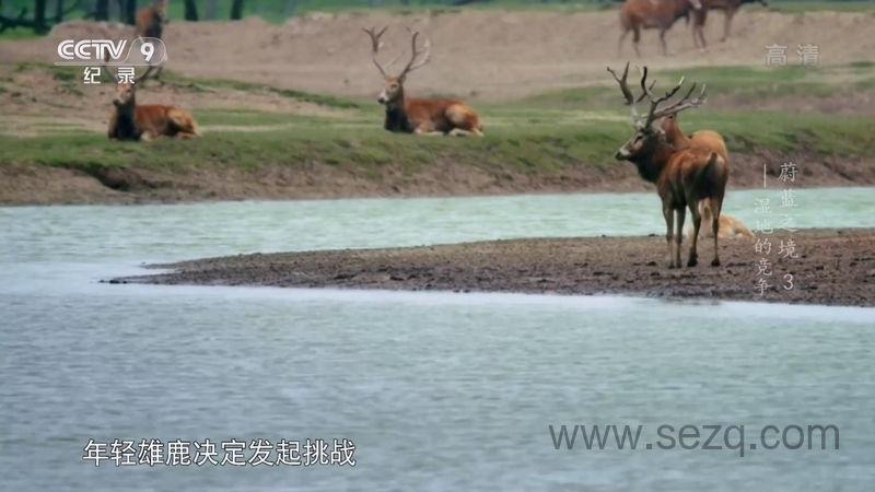 蔚蓝之境 - 动画资源画廊第4张