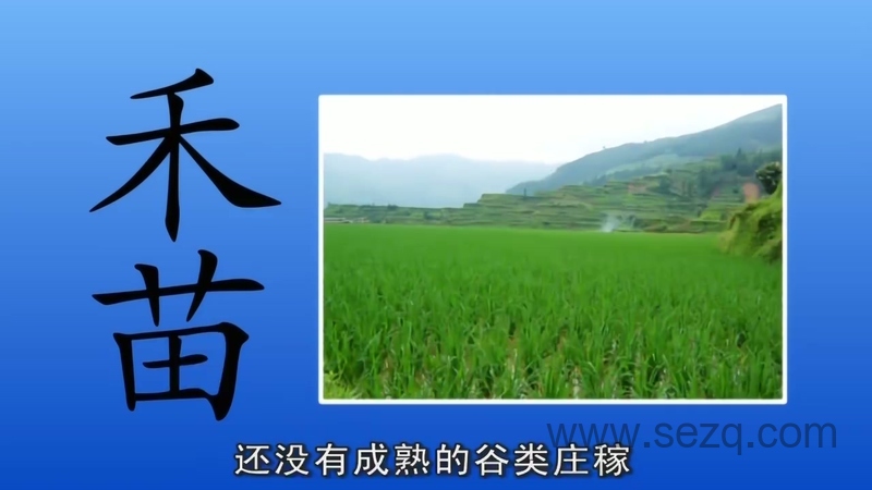 虹猫蓝兔快乐识字 - 动画资源画廊第2张