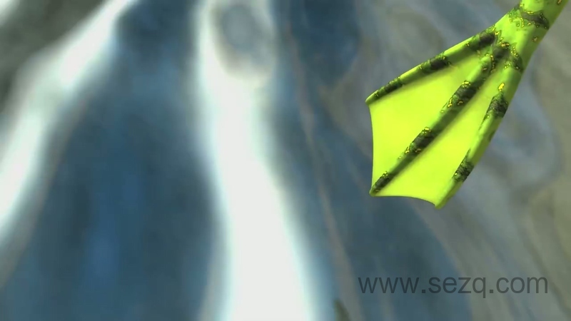 丛林节奏 - 动画资源画廊第8张