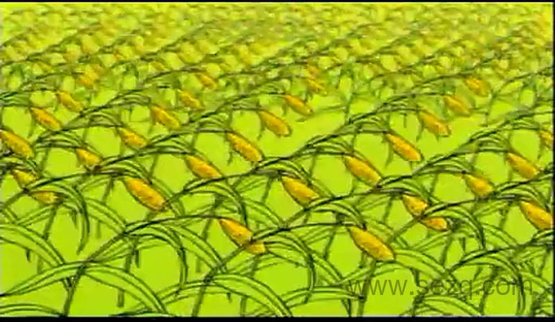 中华上下五千年 - 动画资源画廊第5张