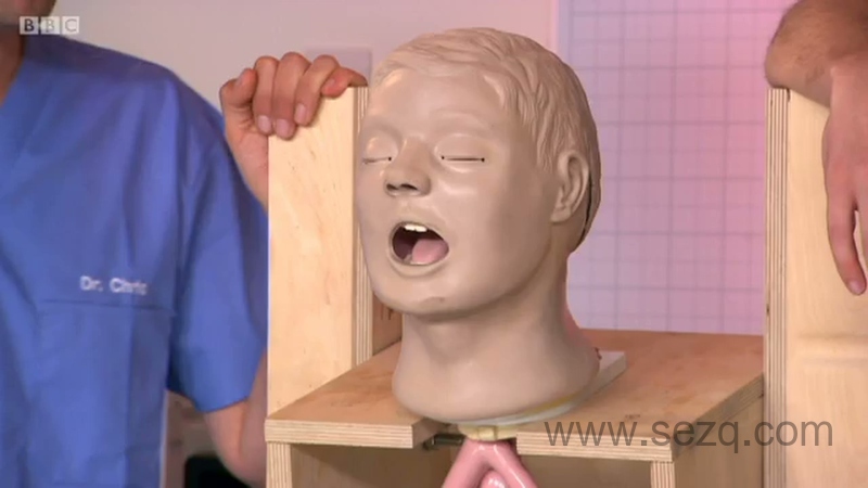 奥趣科普儿童版 - 动画资源画廊第4张