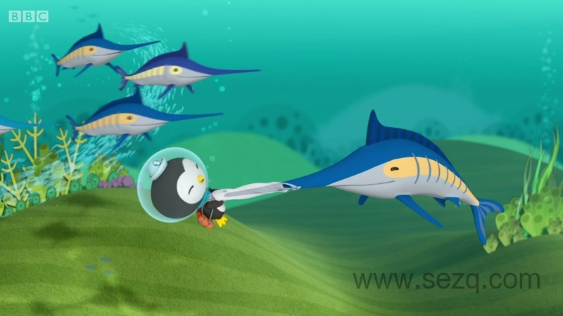 海底小纵队 - 动画资源画廊第3张