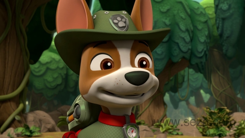 汪汪队立大功 - 动画资源画廊第7张