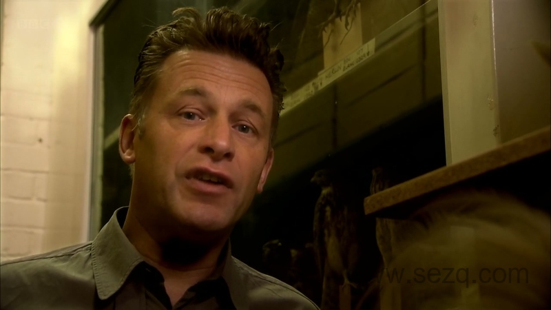 自然界最怪异的事件 - 动画资源画廊第4张