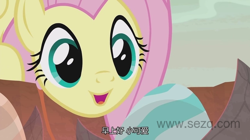 小马宝莉：友谊大魔法 - 动画资源画廊第3张