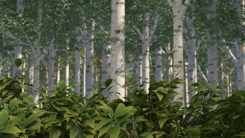 熊出没之探险日记 - 动画资源画廊第4张