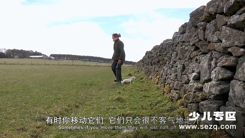 动物的母性 - 动画资源画廊第9张