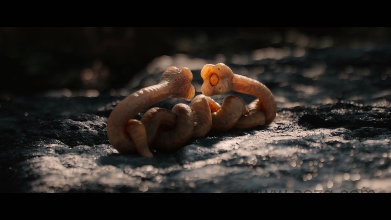 外星世界 - 动画资源画廊第7张