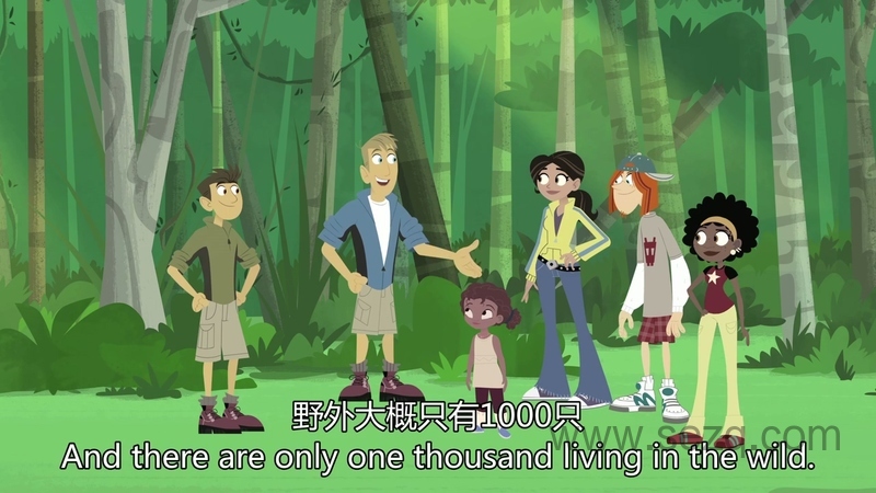 动物兄弟 - 动画资源画廊第4张