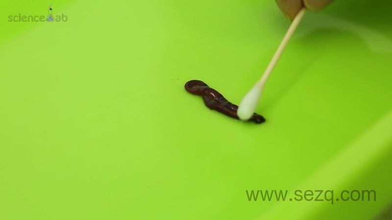 芝麻爱科学 - 动画资源画廊第9张