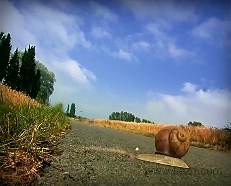 微观小世界 - 动画资源画廊第1张