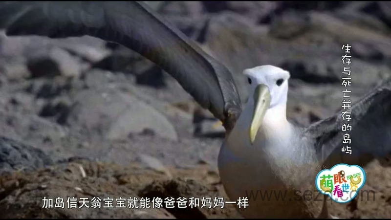 萌眼看世界 - 动画资源画廊第9张