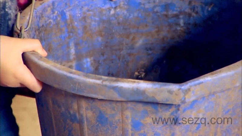 我的宠物和我 - 动画资源画廊第7张