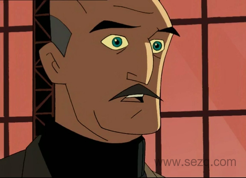 蝙蝠侠传奇 - 动画资源画廊第2张