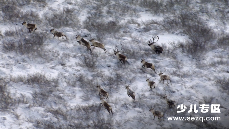 冰冻星球 - 动画资源画廊第8张