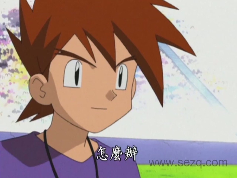 精灵宝可梦：无印篇 - 动画资源画廊第9张