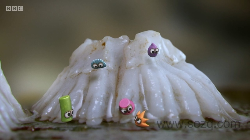 小奇迹 - 动画资源画廊第6张