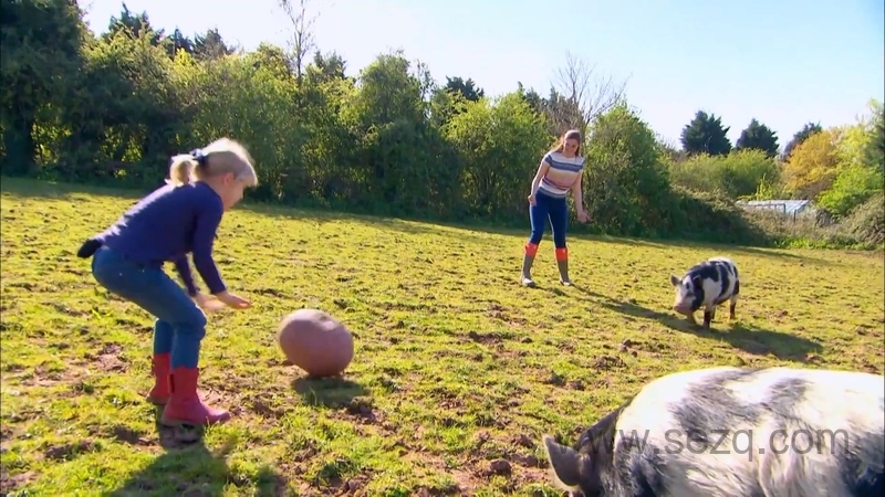 我的宠物和我 - 动画资源画廊第8张