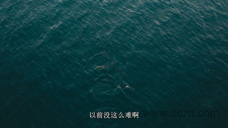 企鹅小镇 - 动画资源画廊第3张