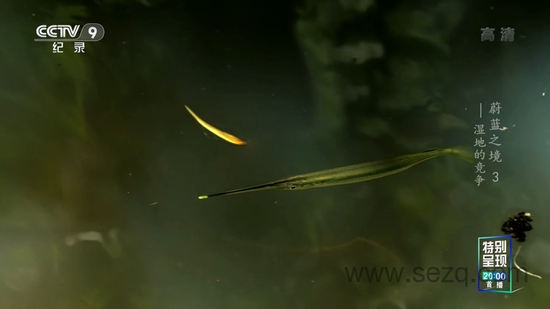 蔚蓝之境 - 动画资源画廊第7张