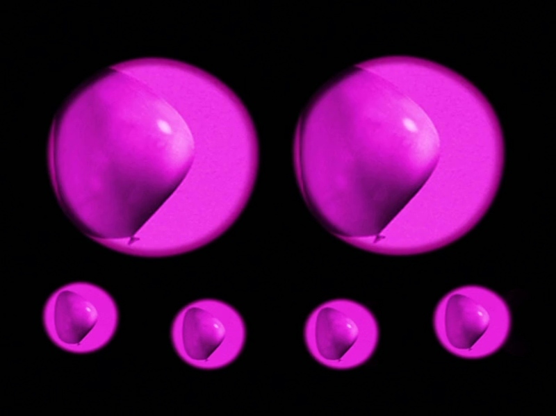 昆虫小世界 - 动画资源画廊第3张