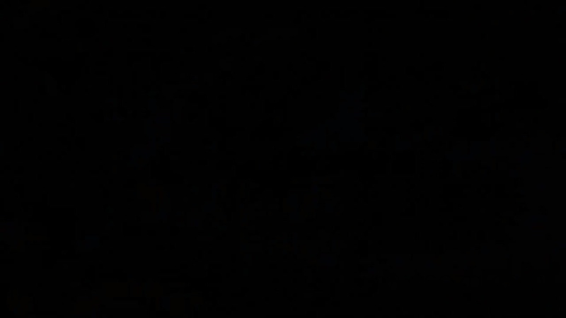 高飞全集 - 动画资源画廊第5张