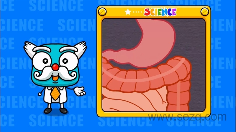 身体秘密 - 动画资源画廊第5张