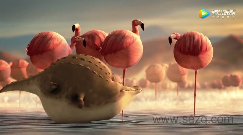 圆滚滚的动物世界 - 动画资源画廊第2张