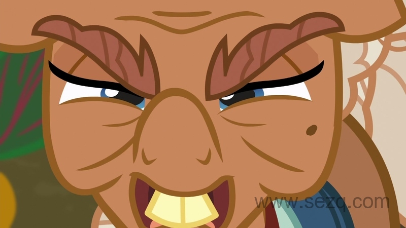 我的小马驹：友谊是魔法 - 动画资源画廊第9张