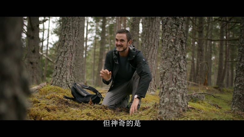 外星世界 - 动画资源画廊第4张