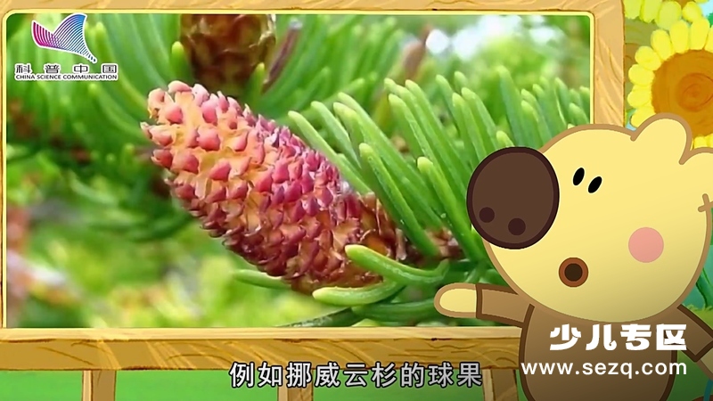 科普中国之熊小米读科学 - 动画资源画廊第7张
