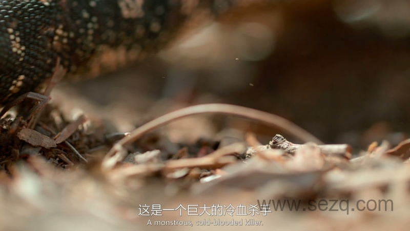 小小世界 - 动画资源画廊第3张