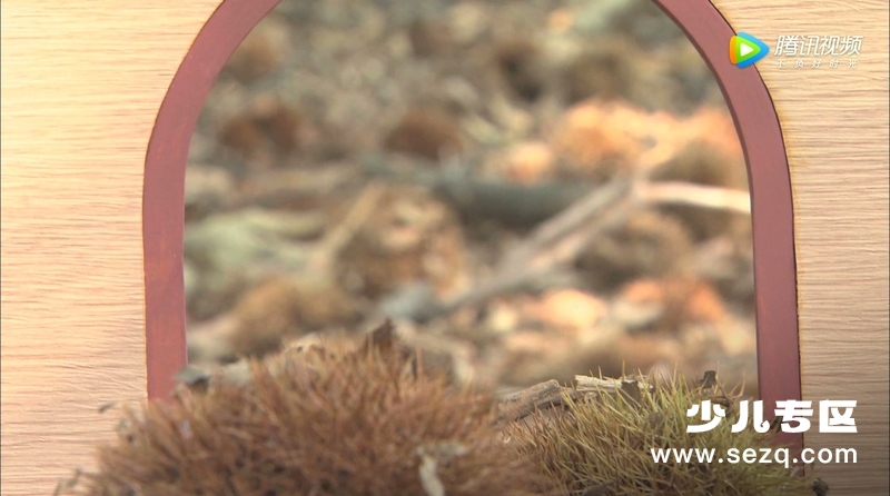 皮特森林侦探队 - 动画资源画廊第6张