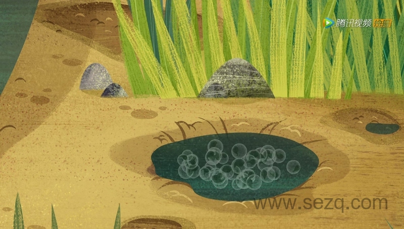 欢乐海鹦岛 - 动画资源画廊第9张