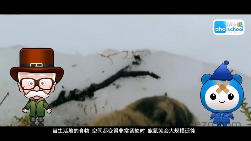 动物大迁徙 - 动画资源画廊第4张