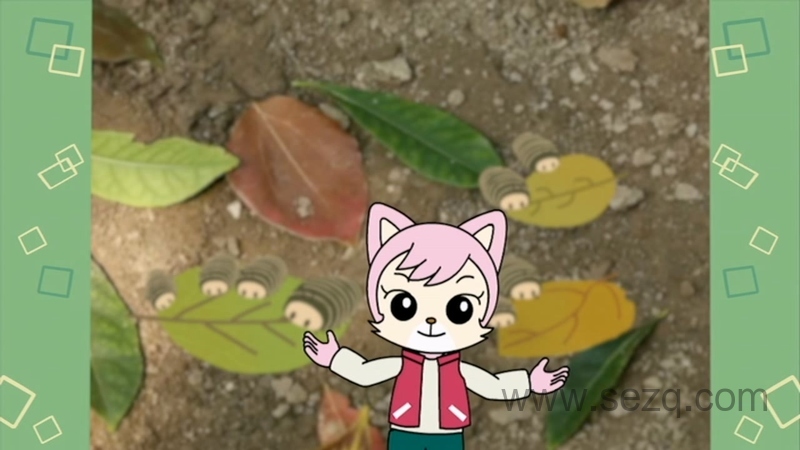 巧虎成长版4~5岁2018年1月~12月 - 动画资源画廊第8张