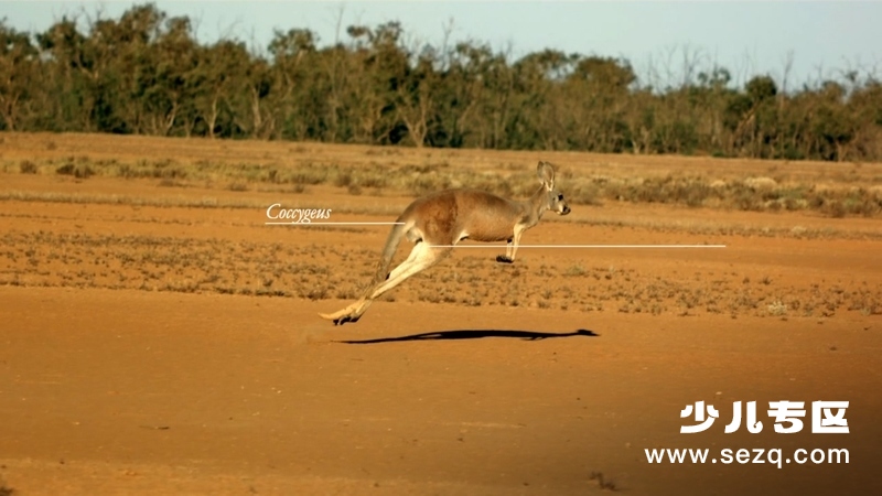 生命的奇迹 - 动画资源画廊第5张