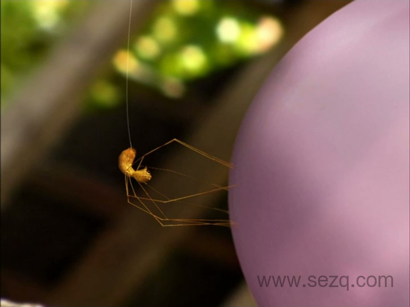 昆虫小世界 - 动画资源画廊第4张