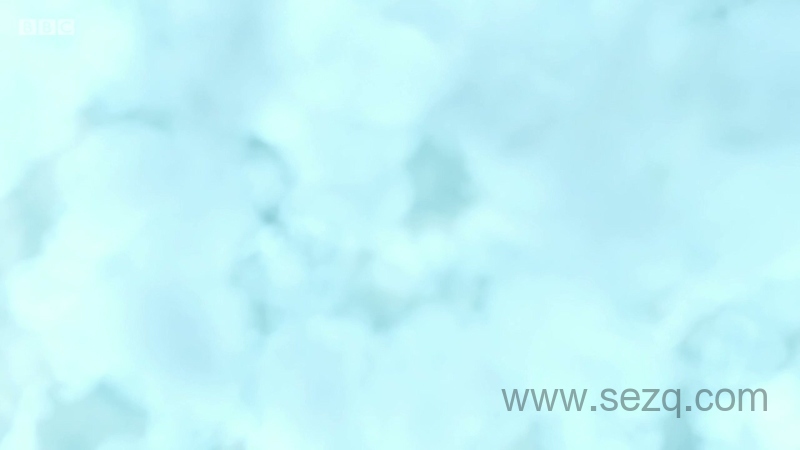 全球探险冲冲冲 - 动画资源画廊第5张