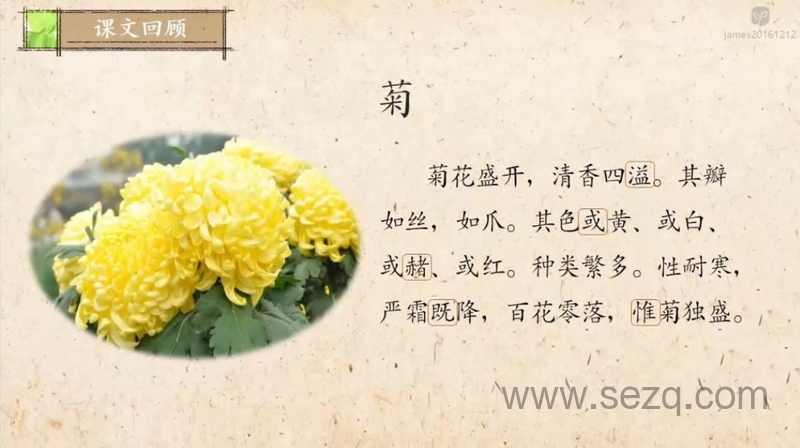 爱上小古文 - 动画资源画廊第8张