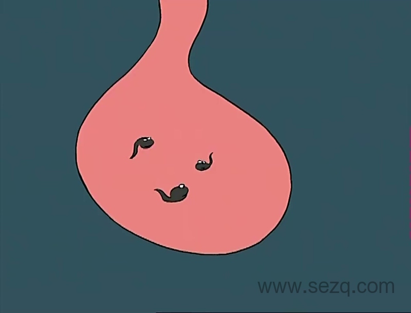 可可可心一家人 - 动画资源画廊第9张