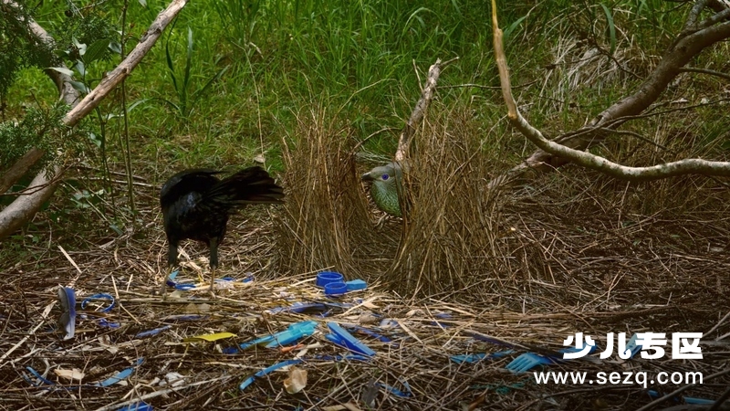 怪诞星球 - 动画资源画廊第2张