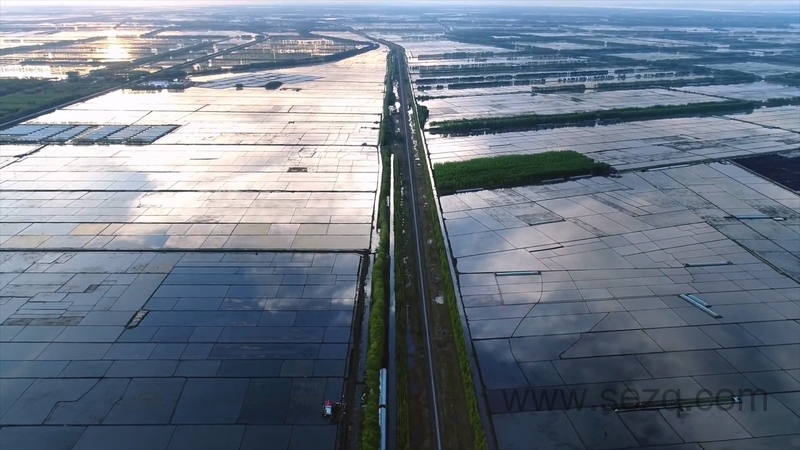 影响世界的中国植物 - 动画资源画廊第4张