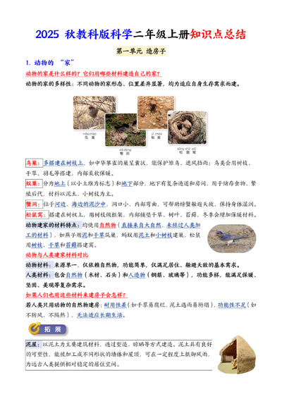 2025年教科版二年级上册科学知识点总结（背诵版）（11页） - 少儿专区