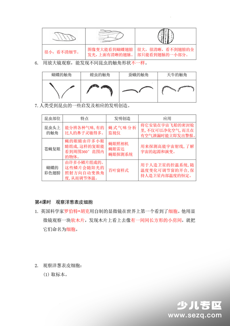 六年级上册科学知识总结（教科版） - 文档资源第3张